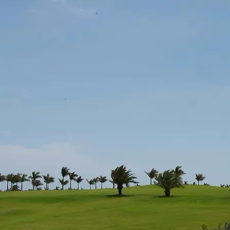 Bahia
